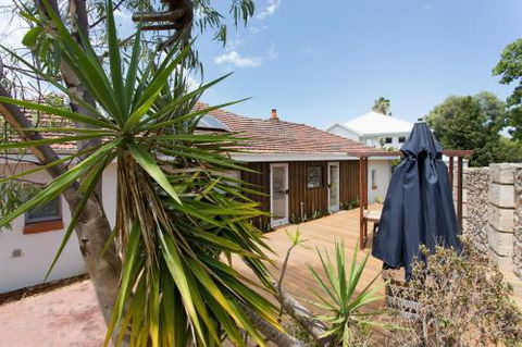 Dingo At White Gum Lodge - Mackay Tourism 5