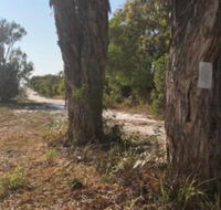COONARR BEACH  BUNDABERG CAMPING - Mackay Tourism
