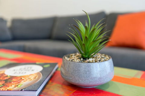 Urban Jungle In The Heart Of The CBD - Mackay Tourism 1