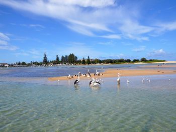 Ashley Court Unit 7 - Mackay Tourism 2