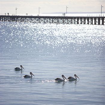 Peppers Pier Resort - Mackay Tourism 3