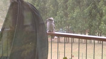 Deloraine Comfort - Mackay Tourism 2