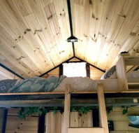 Big Tiny Dale View Tiny House - Mackay Tourism
