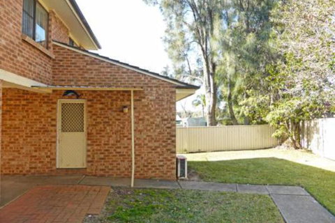 Dolphins Delight At Culburra Beach - Mackay Tourism 5