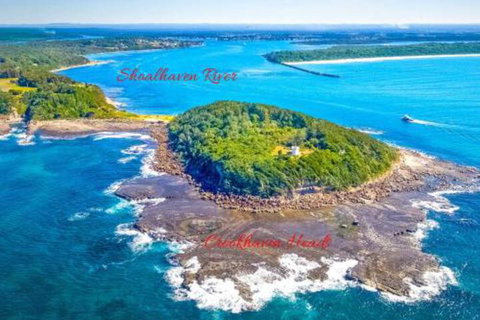 Dolphins Delight At Culburra Beach - Mackay Tourism 4