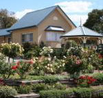 Willows Motel - Mackay Tourism