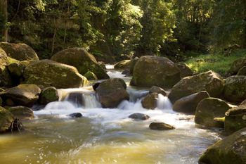 The Cedars Cottages - Mackay Tourism 2