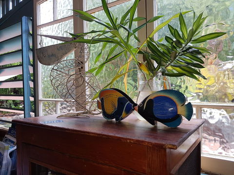 Lilybank Guest House - Mackay Tourism 3