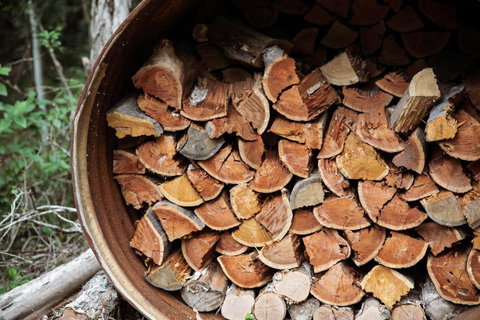 Carawirry Forest Escape - Mackay Tourism 3