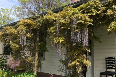 Clarence Cottage - Mackay Tourism 0