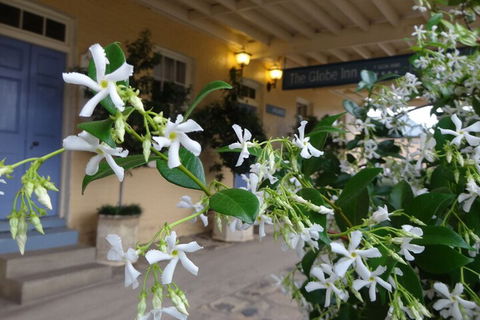 The Globe Inn - Mackay Tourism 2