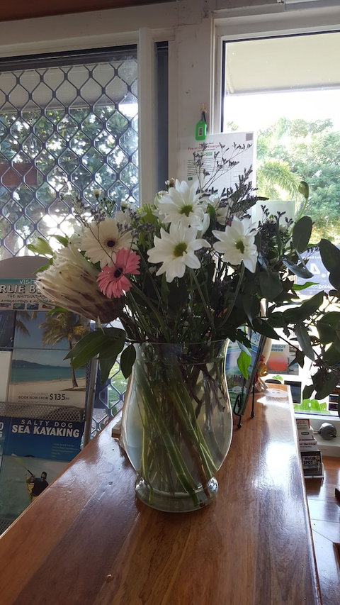 Ocean View Motel Bowen - Mackay Tourism 4