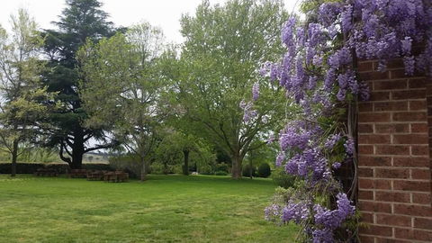 Petersons Armidale Winery & Guesthouse - Mackay Tourism 0