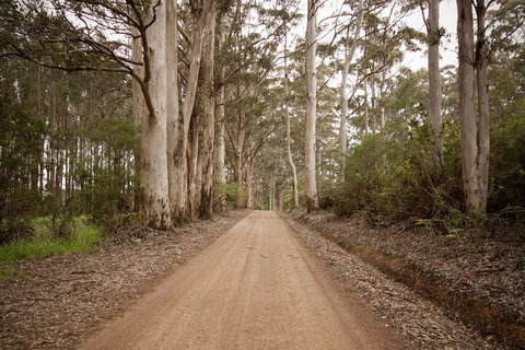 Sensational Heights Bed & Breakfast - Mackay Tourism 1