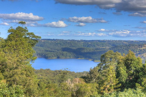 Montville Misty View Cottages - Mackay Tourism 1