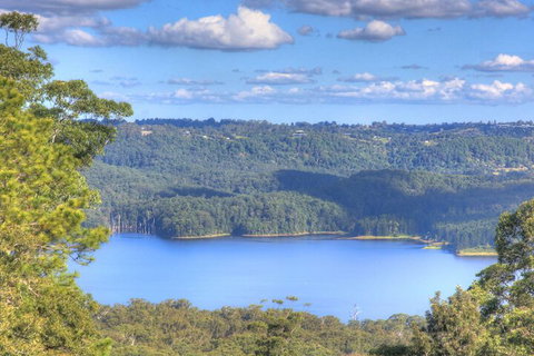 Montville Misty View Cottages - Mackay Tourism 3