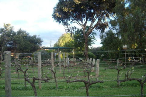 Southern Vales Bed & Breakfast - Mackay Tourism 7