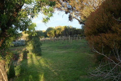 Southern Vales Bed & Breakfast - Mackay Tourism 2