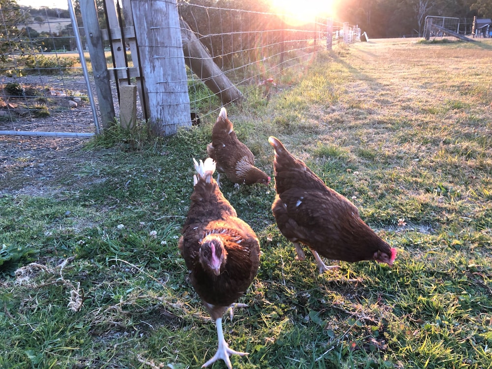 Moruya NSW Mackay Tourism