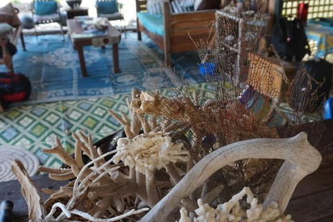 Bremer Island Banubanu Beach Retreat - Mackay Tourism 5