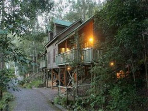Barrington Wilderness Cedar Lodge Accommodation - Mackay Tourism 2