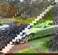 Valley Farm Vineyard Cottages - Mackay Tourism