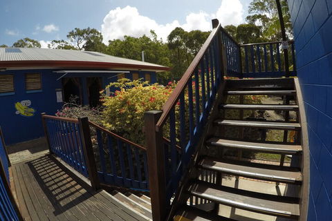 Cool Bananas Backpackers - Mackay Tourism 5