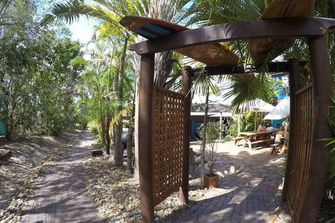 Cool Bananas Backpackers - Mackay Tourism 6
