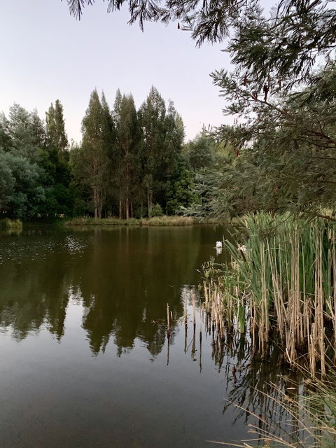 Giants Table And Cottages - Mackay Tourism 5
