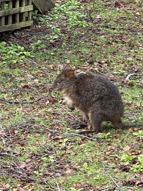 Giants Table And Cottages - Mackay Tourism 2