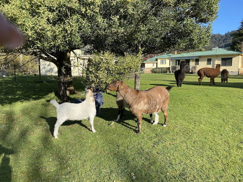 Giants Table And Cottages - Mackay Tourism 3