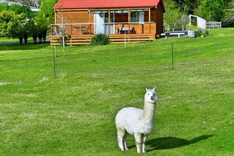 Maydena Mountain Cabins - Mackay Tourism 2