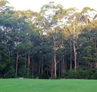 Tinglewood Cabins - Mackay Tourism