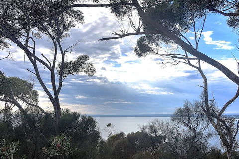 Wanderers Rest Of Kangaroo Island - Mackay Tourism 7