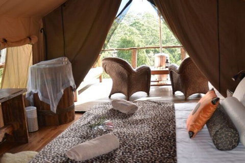 Silk Pavilions Glamping - Mackay Tourism 4