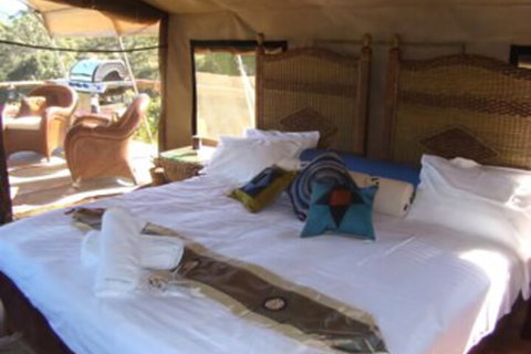 Silk Pavilions Glamping - Mackay Tourism 7
