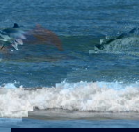 Summerhills Retreat Byron Bay - Mackay Tourism