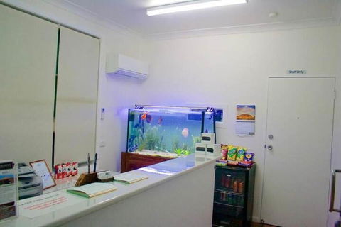Buckaroo Motor Inn - Mackay Tourism 4