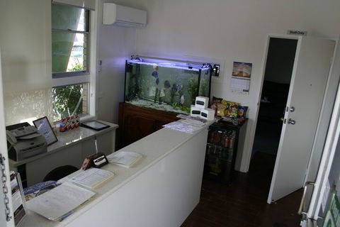 Buckaroo Motor Inn - Mackay Tourism 1
