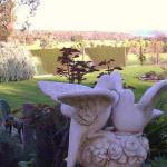 Brandy Creek VIC Mackay Tourism