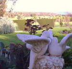 Springbank Bed  Breakfast - Mackay Tourism