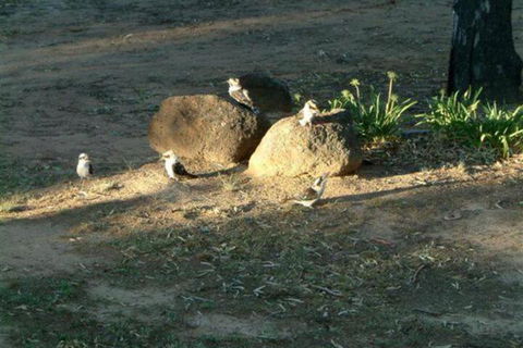 Riverview Motel Deniliquin - Mackay Tourism 2