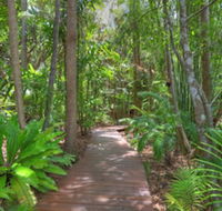 Montville Grove - Mackay Tourism