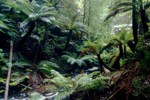 Corinna Wilderness Experience - Mackay Tourism 2