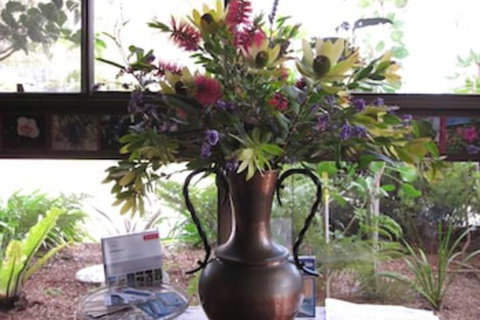 Lakes Waterfront Motel & Holiday Cottages - Mackay Tourism 3