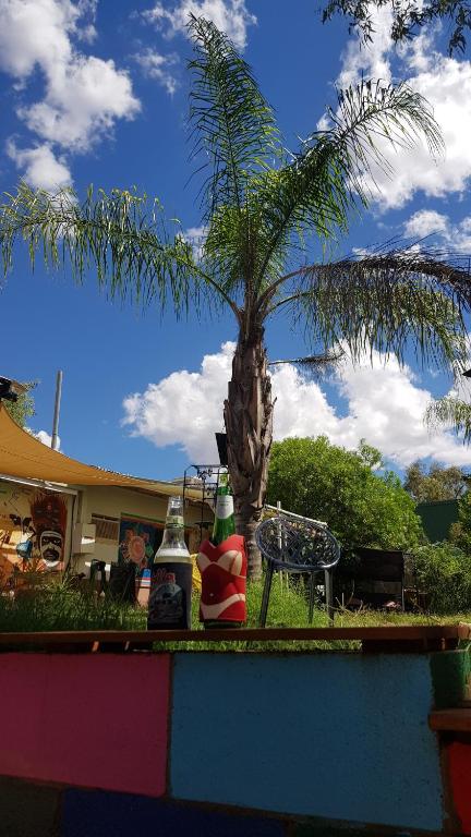 Alices Secret Travellers Inn - Mackay Tourism 1