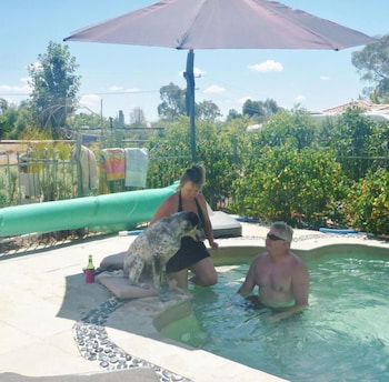 Must Love Dogs B&b - Mackay Tourism 1