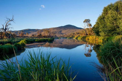 Snowy River Cabins - Mackay Tourism 3
