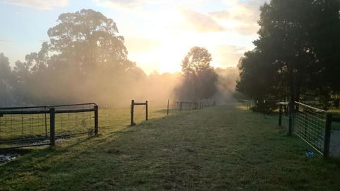 Carinya Park - Mackay Tourism 2