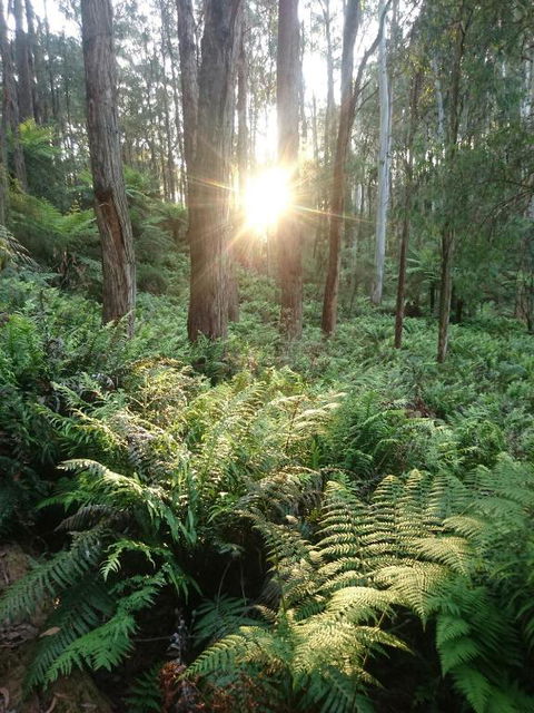 Carinya Park - Mackay Tourism 3
